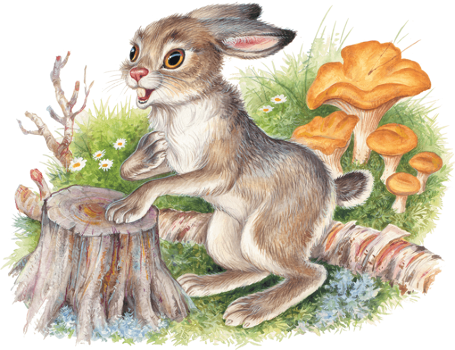 Лесные приключения (сборник) - i_003.png