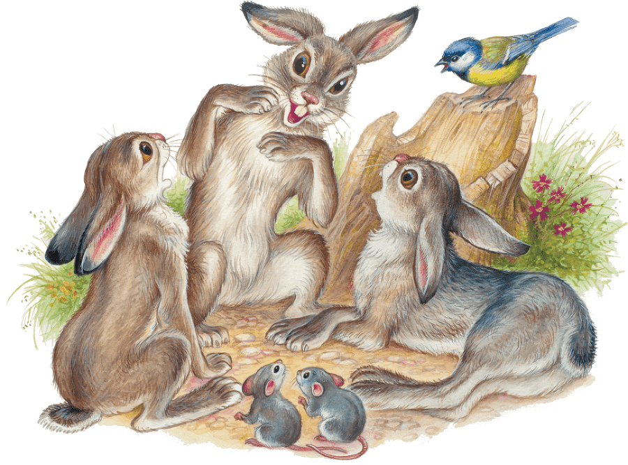 Лесные приключения (сборник) - i_010.png