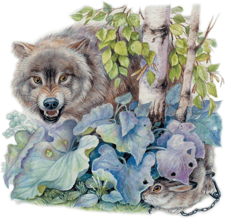 Лесные приключения (сборник) - i_012.png