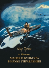 Магия и культура в науке управления - автор Шевцов Александр 