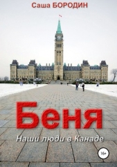 Беня. Сборник рассказов - автор Бородин Александр Викторович 