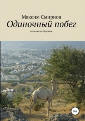 Одиночный побег. Авантюрный роман - автор Смирнов Максим 