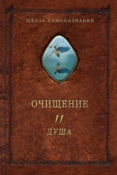 Очищение. Том 2. Душа - автор Шевцов Александр 