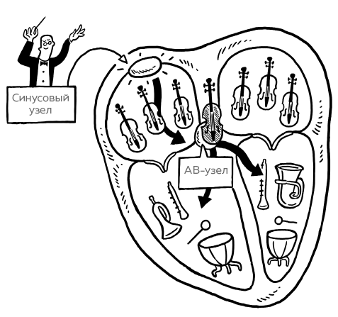 Сердце. Как у тебя дела? - i_034.png