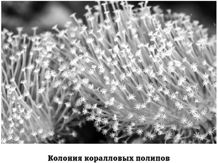 География на пальцах - i_070.jpg