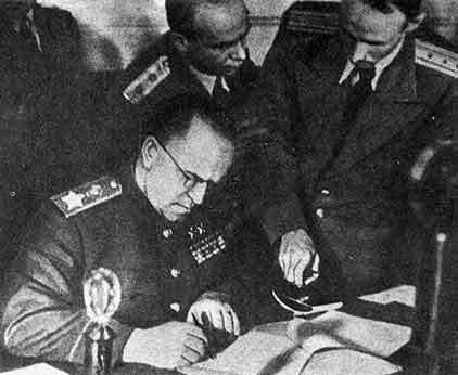 Живая память. Великая Отечественная: правда о войне. В 3-х томах. Том 3. - i_055.jpg