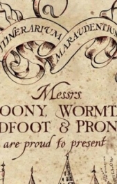  Ocviv Elizabeth - Другая жизнь Мародёров: Per aspera ad astra (СИ)