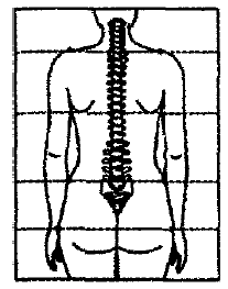 Записки врача тибетской медицины - i_001.png