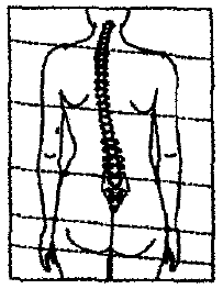 Записки врача тибетской медицины - i_003.png