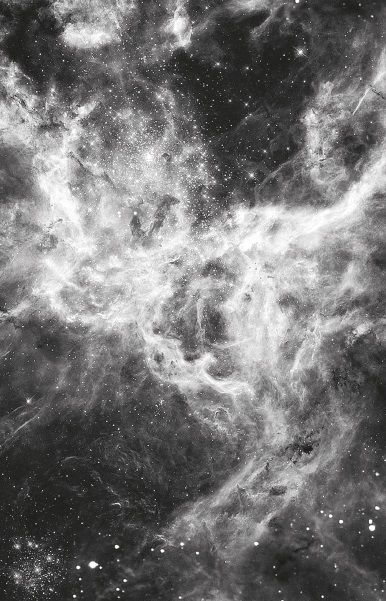 Люби ее неистово - i_006.jpg