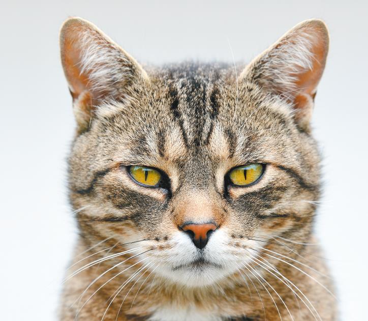 Самоучитель по уходу за кожей #1 - i_001.jpg