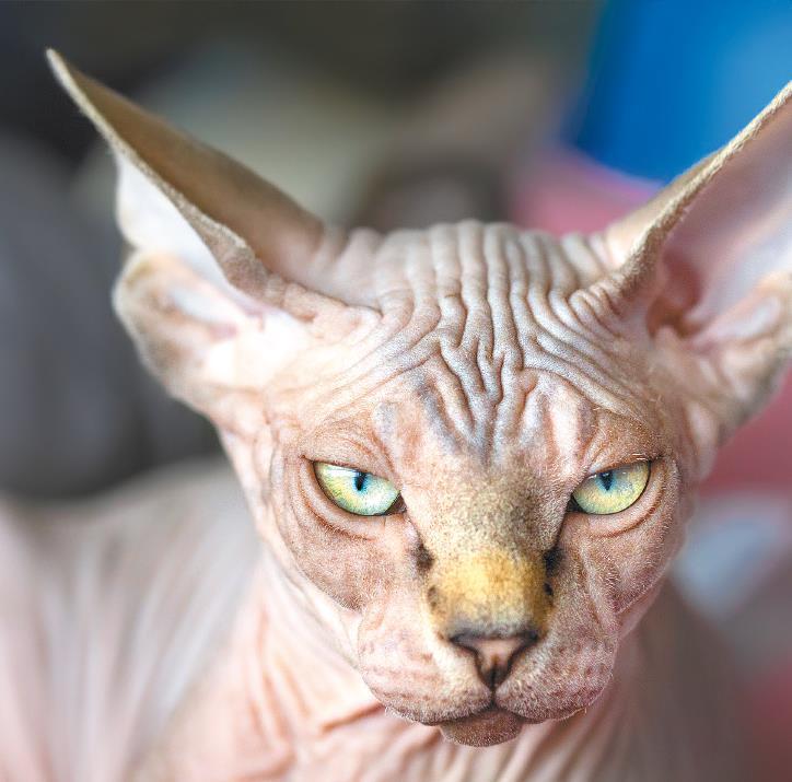 Самоучитель по уходу за кожей #1 - i_003.jpg