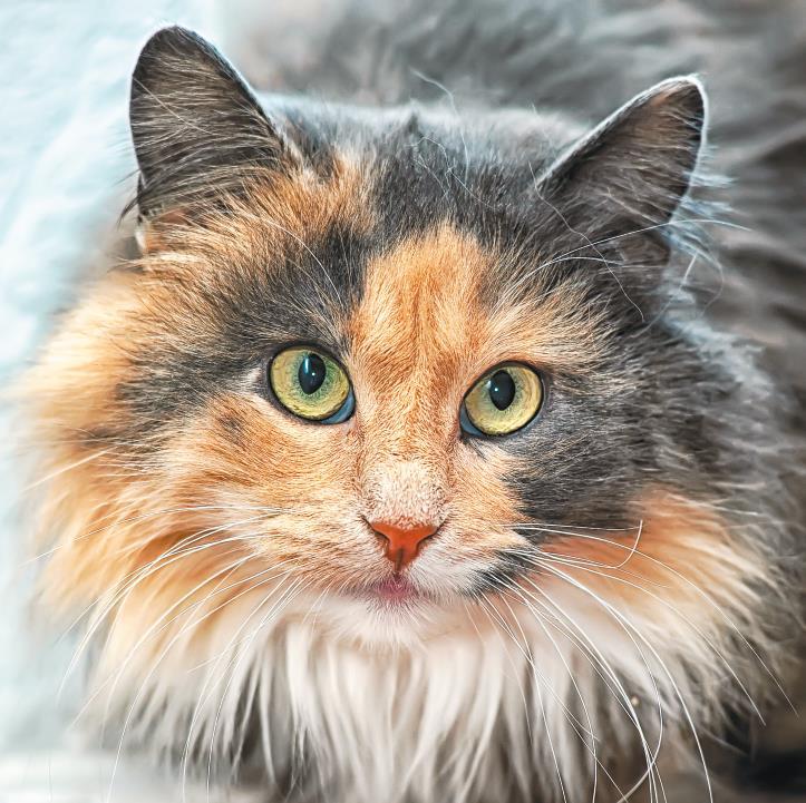 Самоучитель по уходу за кожей #1 - i_007.jpg