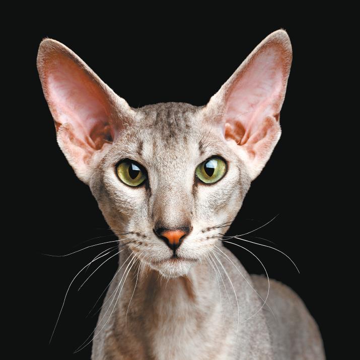 Самоучитель по уходу за кожей #1 - i_009.jpg