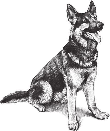 Алый. С вопросами и ответами для почемучек - i_001.jpg