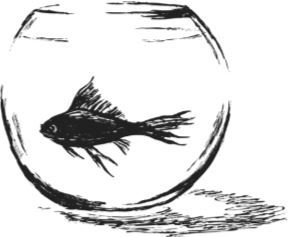 Алый. С вопросами и ответами для почемучек - i_007.jpg