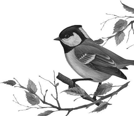 Алый. С вопросами и ответами для почемучек - i_008.jpg