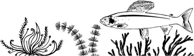 Алый. С вопросами и ответами для почемучек - i_010.jpg