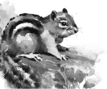 Алый. С вопросами и ответами для почемучек - i_012.jpg