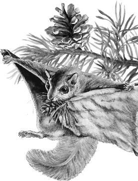 Алый. С вопросами и ответами для почемучек - i_014.jpg