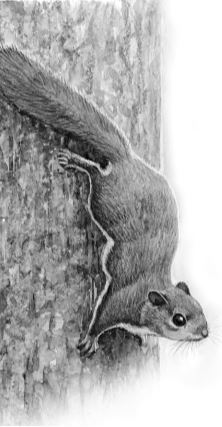 Алый. С вопросами и ответами для почемучек - i_015.jpg