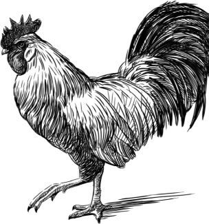 Алый. С вопросами и ответами для почемучек - i_021.jpg