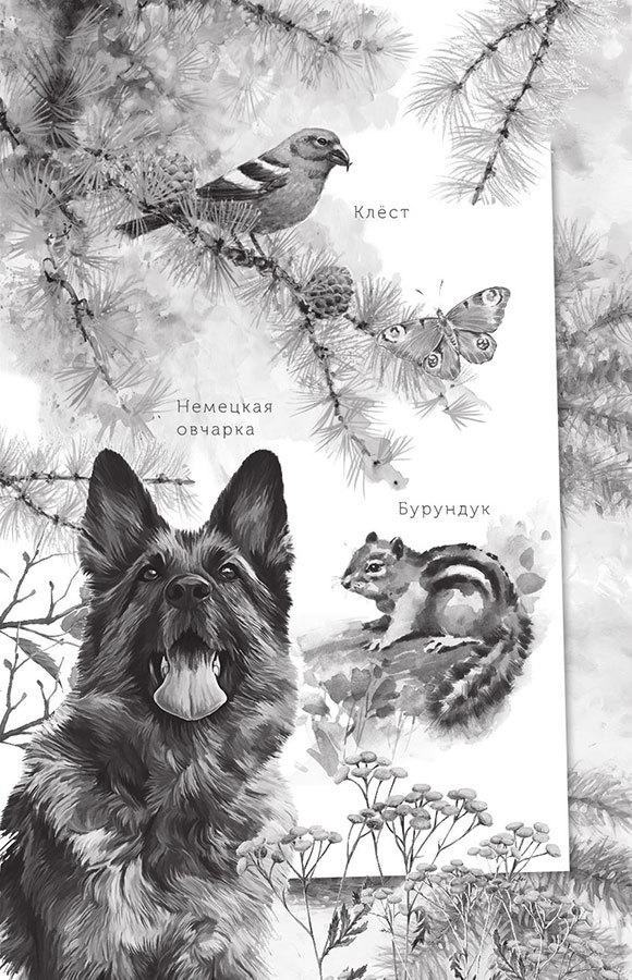 Алый. С вопросами и ответами для почемучек - i_002.jpg