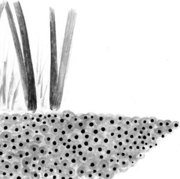 Алый. С вопросами и ответами для почемучек - i_022.jpg