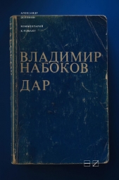 Комментарий к роману Владимира Набокова «Дар» - автор Долинин Александр 