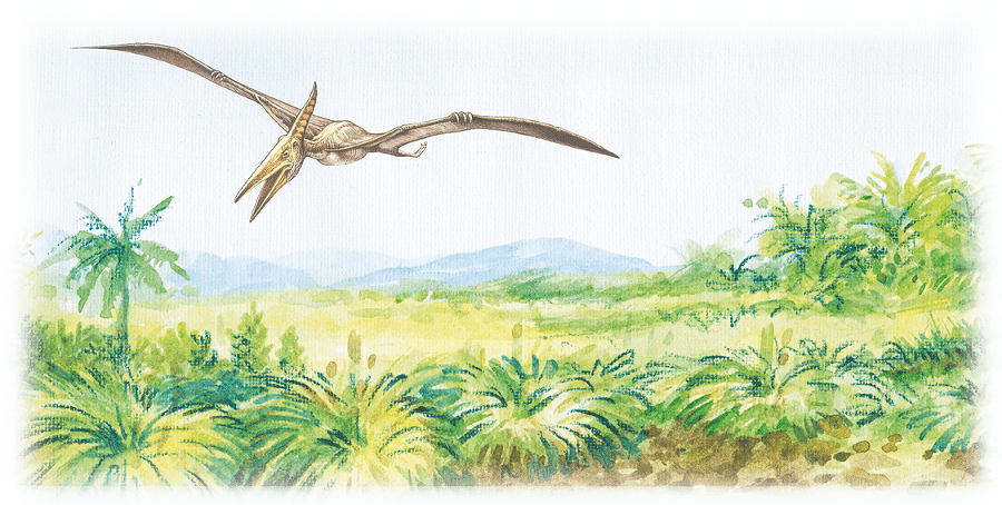 Трое в джунглях, не считая динозавра - i_009.png