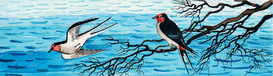 Рассказы про птиц и зверей (сборник) - i_017.png