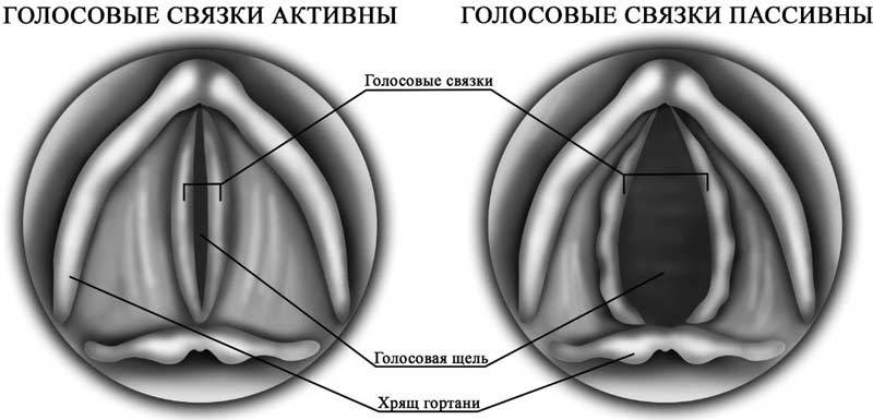 Говори как бог - i_003.jpg