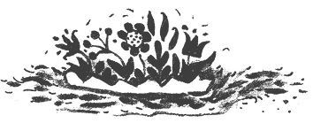 Большой подарок от Эльфики. Лучшие сказки о Судьбе, Любви и Жизни - i_023.jpg