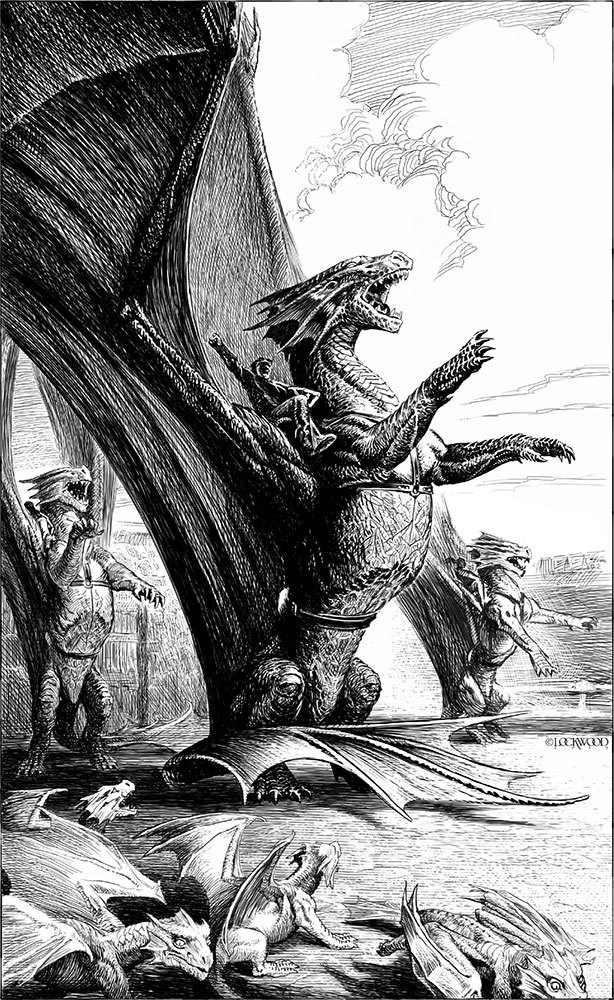 Летний дракон. Первая книга Вечнолива - i_003.jpg