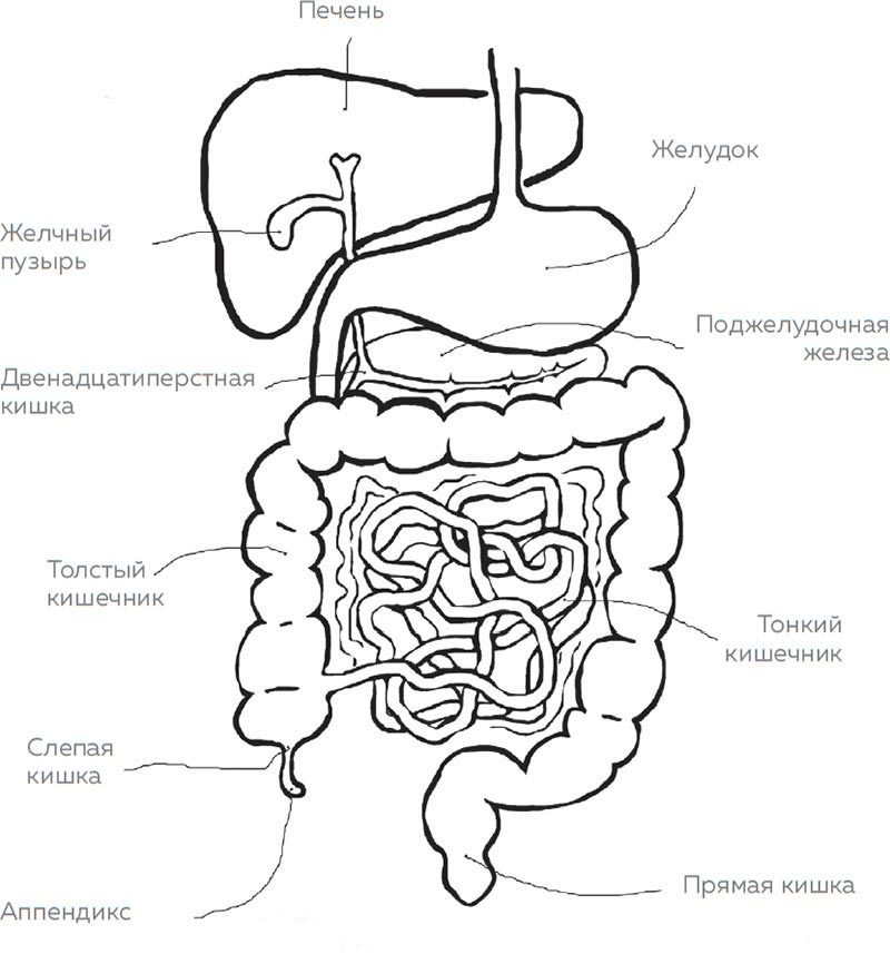 Кишечник. Как у тебя дела? - i_011.jpg