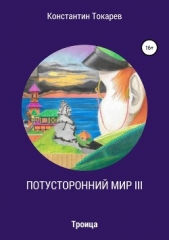 Потусторонний мир III. Троица - автор Токарев Константин 