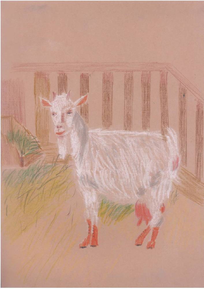 Возвращение на Седьмой холм - _5.jpg