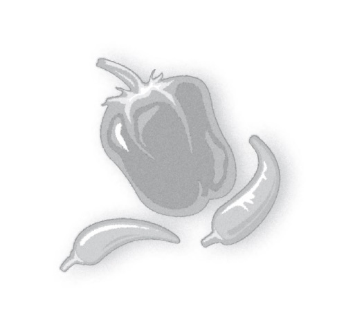 Как стать сыроедом. Исчерпывающее руководство по переходу на веганское сыроедение - i_002.jpg