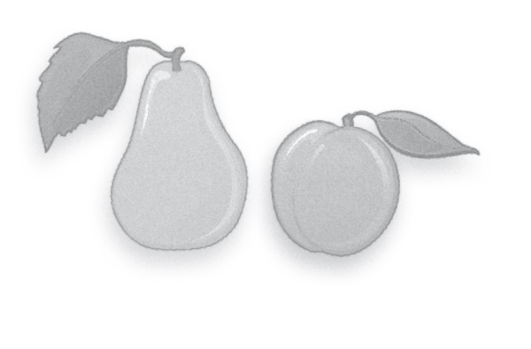 Как стать сыроедом. Исчерпывающее руководство по переходу на веганское сыроедение - i_013.jpg