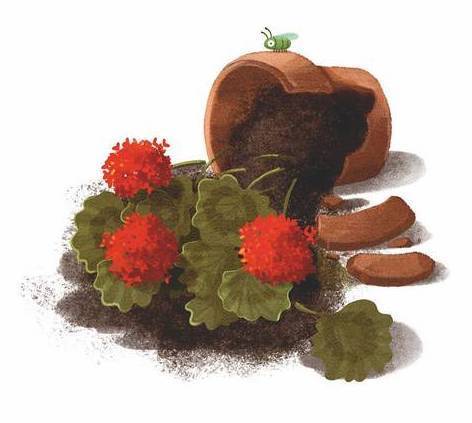 Добывайки на новом месте - i_001.jpg