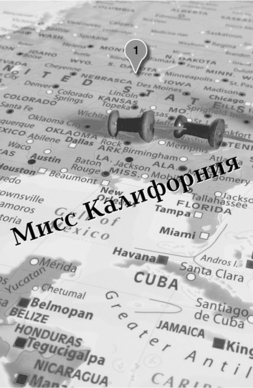 Большое путешествие Эми и Роджера - i_002.jpg