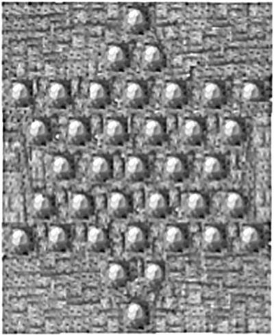 Костяной лабиринт - _017_3.jpg