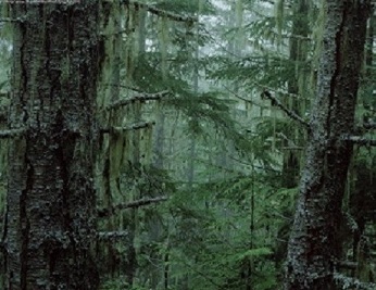 Поэма о Северном Транссибе - _5.jpg