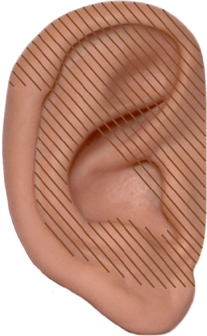 Аурикулярная медицина. Том 1. Картограммы ушной раковины. Опорно-двигательный аппарат - i_005.jpg