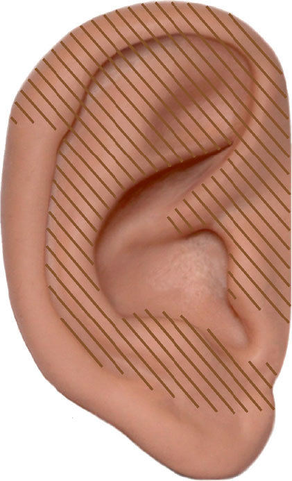 Аурикулярная медицина. Том 1. Картограммы ушной раковины. Опорно-двигательный аппарат - i_006.jpg