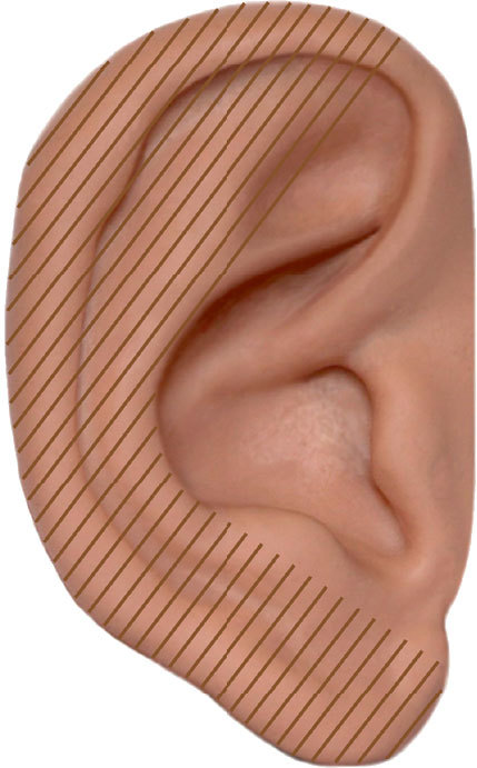 Аурикулярная медицина. Том 1. Картограммы ушной раковины. Опорно-двигательный аппарат - i_007.jpg