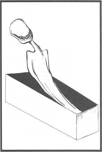 Круги ужаса<br />(Новеллы) - i_039.jpg