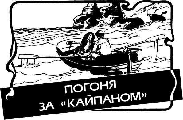 Приключения в Красном море. Книга 3<br />(Погоня за «Кайпаном». Злополучный груз) - i_003.jpg