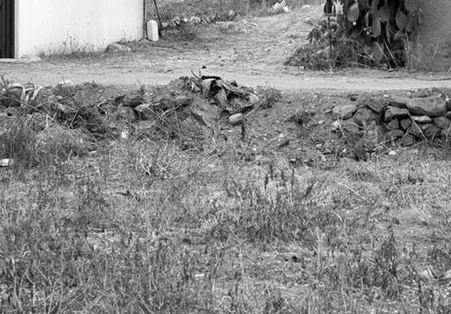 Мышление. Системное исследование - i_015.jpg