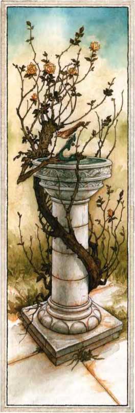 Сказки<br />(Илл. П. Дж. Линча) - i_009.jpg